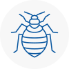 Bed Bug Extermination In Southall Broadway