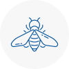 Bee Nest Removal Southall Broadway