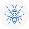 Southall Broadway Hornet Nest Removals