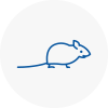 Mice Exterminators In Southall Broadway