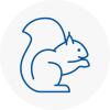 Southall Broadway Rodent Removals
