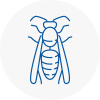 Southall Broadway Wasp Nest Removal